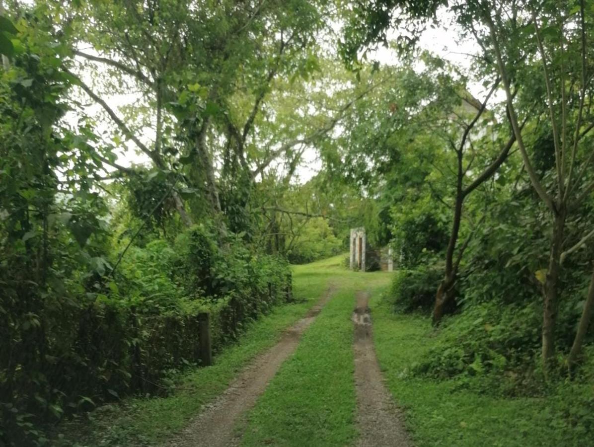 Casa Camino a las Pozas Xilitla Exterior foto