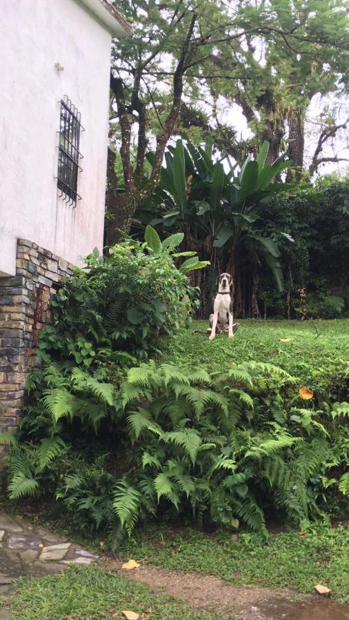 Casa Camino a las Pozas Xilitla Exterior foto
